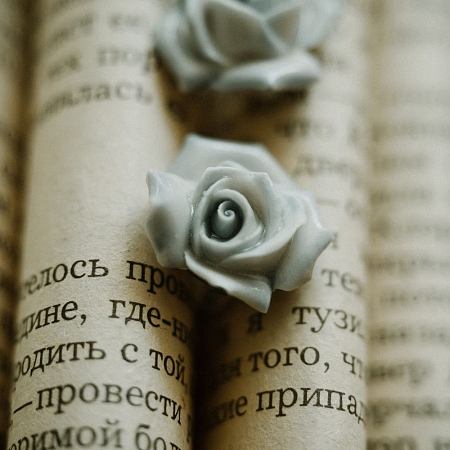 Серьги-гвоздики Розы Гжельский фарфоровый завод